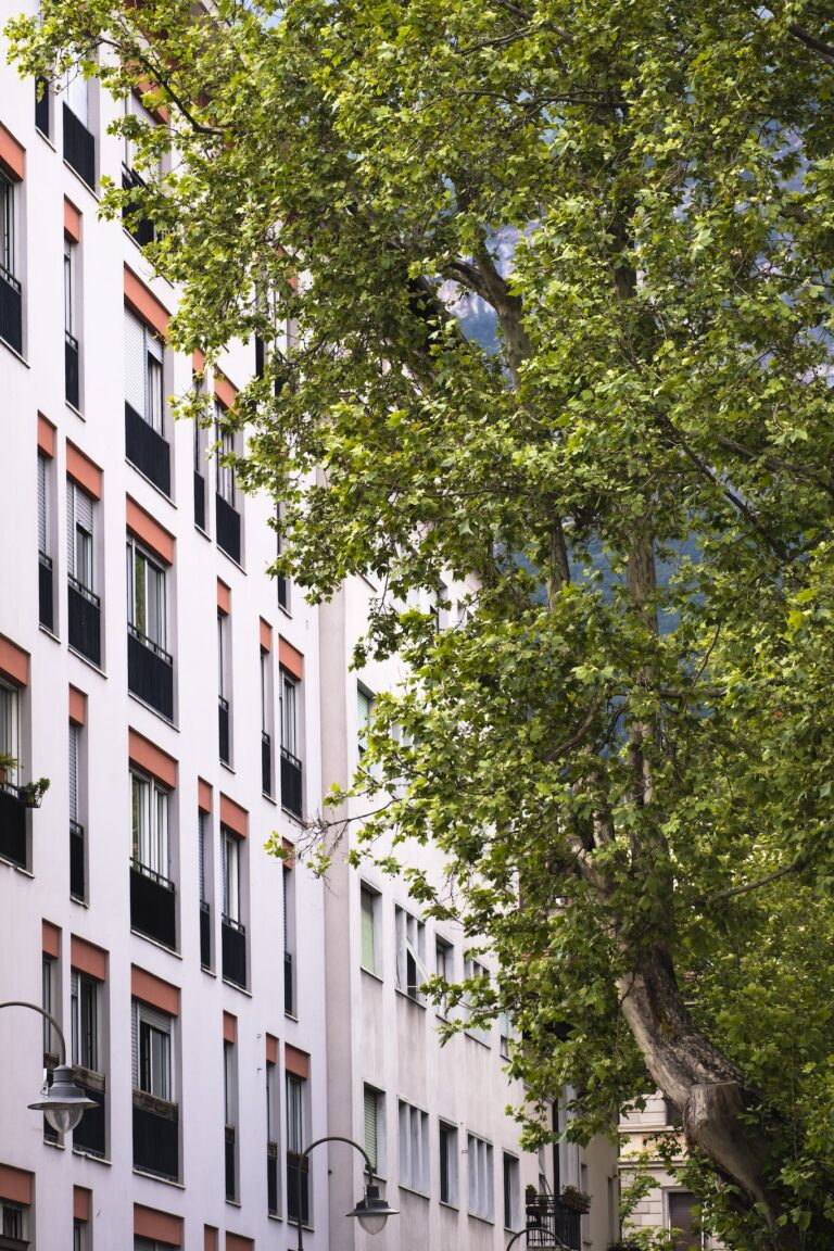 Zmiana organizacji pracy przychodni w okresie świątecznym